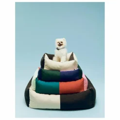 Online Panier pour chien | Accessoires Animaux