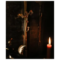 Patère en laiton mat Ava Blossom | Enfant Patères|Patères, Paniers Enfant