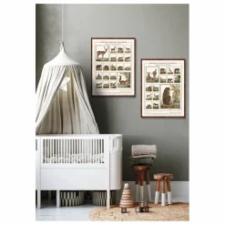 Planche Espèces choisies d'Afrique - Animaux de Buffons Déco Murale, Papier Peint