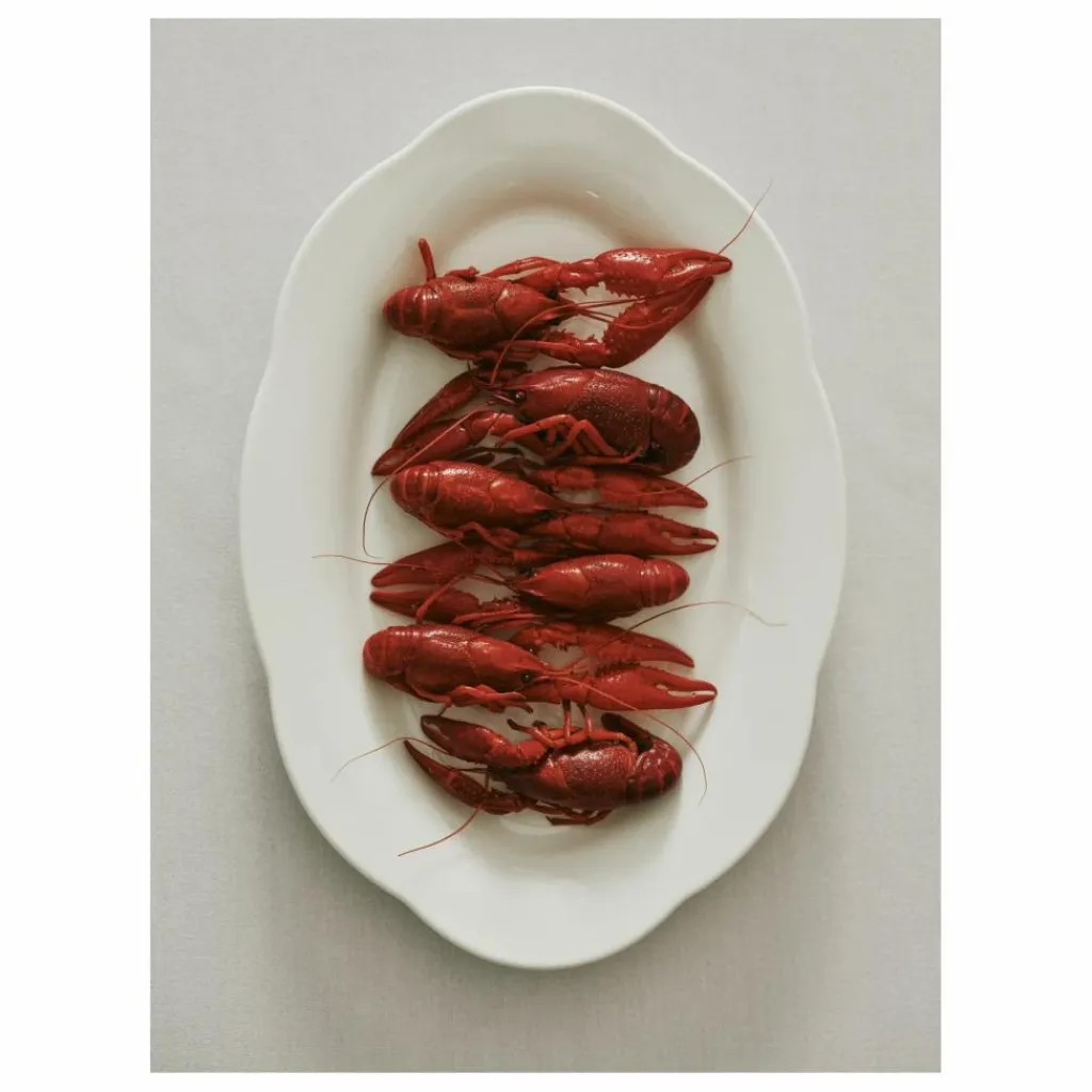 Best Plats Silhouette, Sergio Herman - Set de 2 | Art De La Table