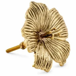 Poignée de porte en laiton Hailey | Petits Rangements