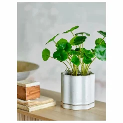 Online Pot de fleurs Argyle en grès | Vases, Objets Déco