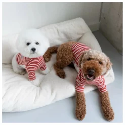 Discount Pull rayé | Accessoires Animaux