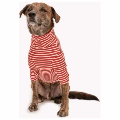 Discount Pull rayé | Accessoires Animaux