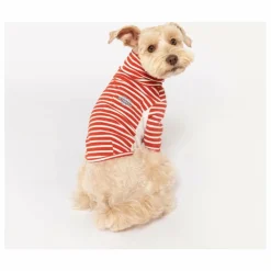 Discount Pull rayé | Accessoires Animaux