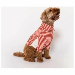 Discount Pull rayé | Accessoires Animaux