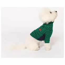 Discount Pull rayé | Accessoires Animaux