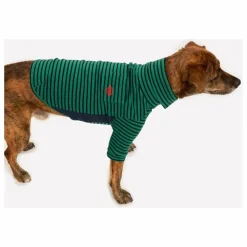 Discount Pull rayé | Accessoires Animaux