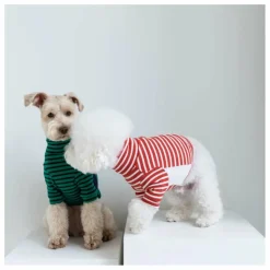 Discount Pull rayé | Accessoires Animaux