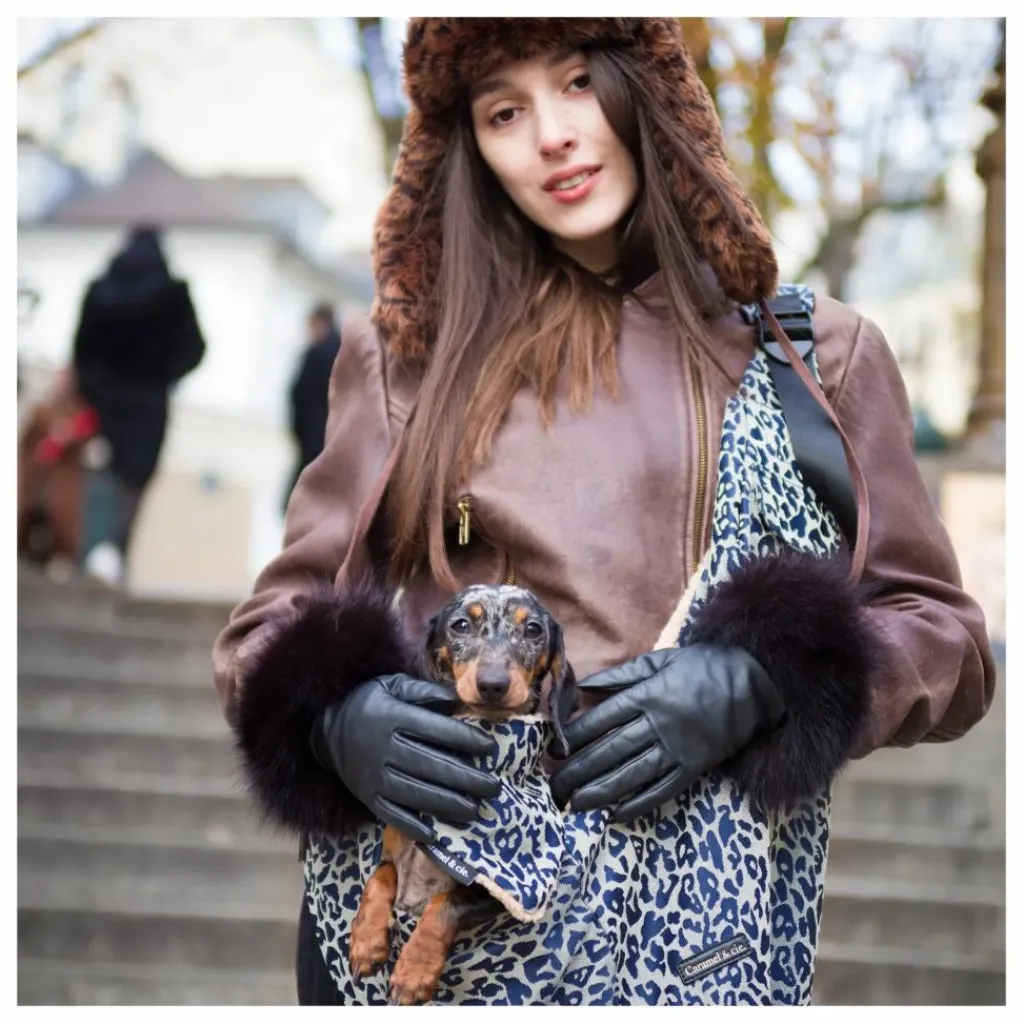 Sale Sac Promenade Cross Body Léopard Chien | Accessoires Animaux