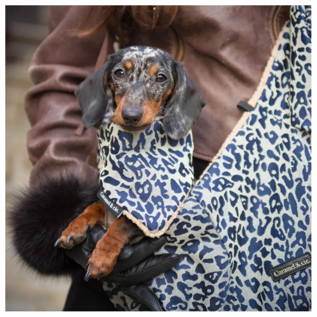 Sale Sac Promenade Cross Body Léopard Chien | Accessoires Animaux