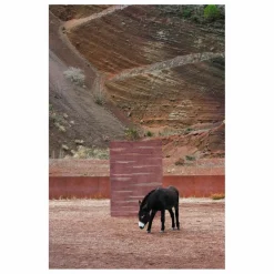 Outlet Tapis en laine Colorado | Tapis