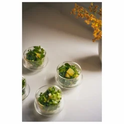 Online Tasse à thé Kronos Art De La Table