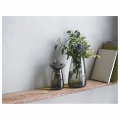 Online Vase en verre Aquaculture | Vases, Objets Déco