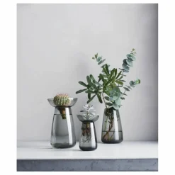 Online Vase en verre Aquaculture | Vases, Objets Déco