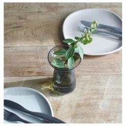 Online Vase en verre Aquaculture | Vases, Objets Déco