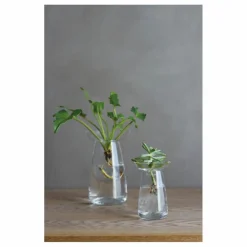 Discount Vase en verre Aquaculture | Vases, Objets Déco