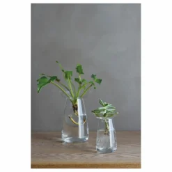 Outlet Vase en verre Aquaculture | Vases, Objets Déco