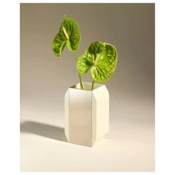 New Vase Oscar | Vases, Objets Déco