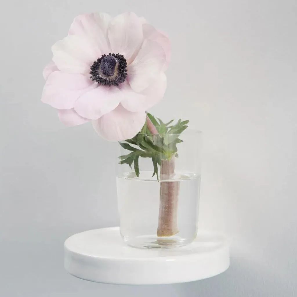 New Vide-poche Balcon en céramique, Inga Sempé | Petits Rangements